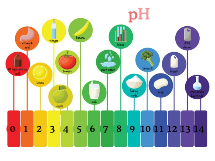 pH en Alimentos